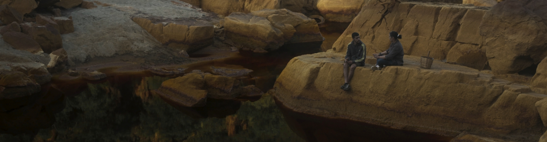 Dutch presence at CPH:DOX